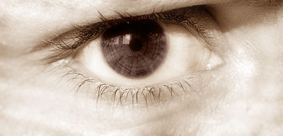 Auge